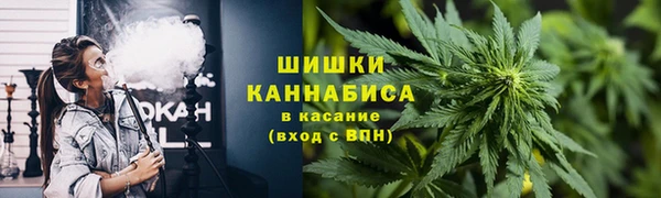 винт Богданович