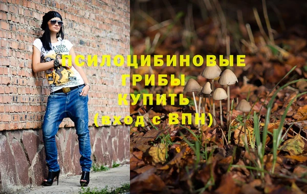 дживик Сковородино