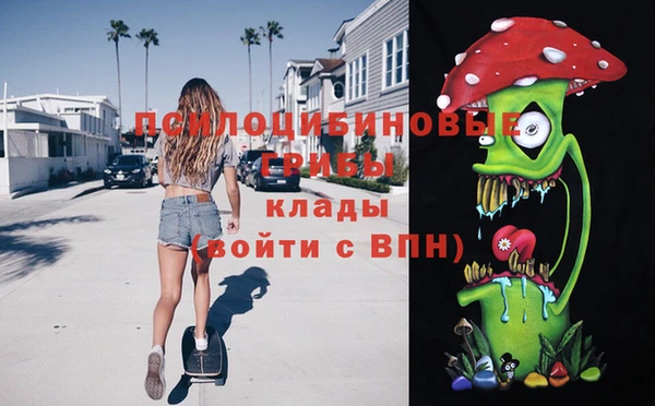 mix Богородицк