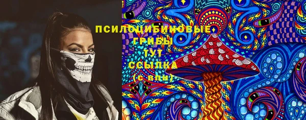 дживик Сковородино