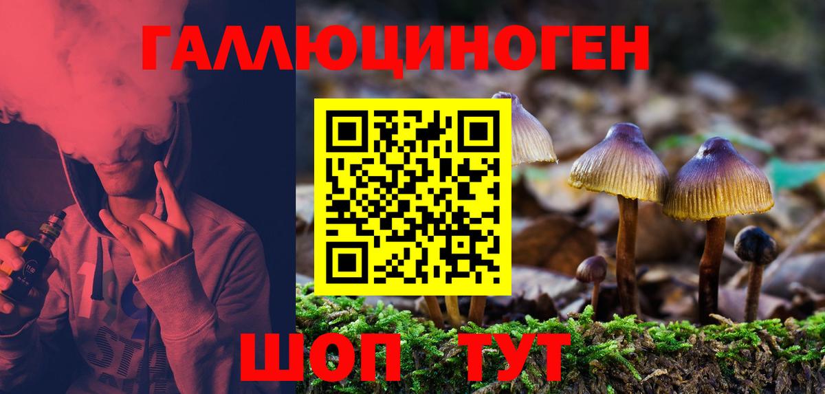 Ессентуки  Псилоцибиновые грибы Psilocybine cubensis  Вход с VPN 