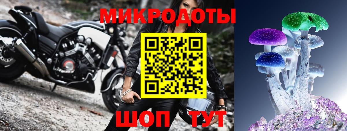 Псилоцибиновые грибы Cubensis  Ессентуки  Псилоцибиновые грибы Magic Shrooms 