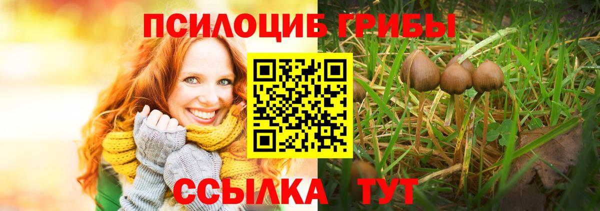 Галлюциногенные грибы Cubensis Ессентуки